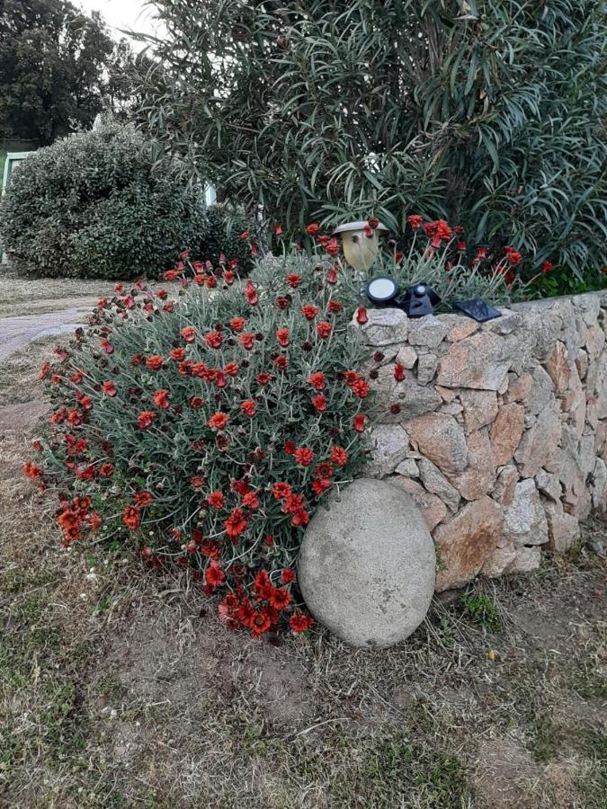 Orasi Sartene Gite Casa Fiurita 외부 사진