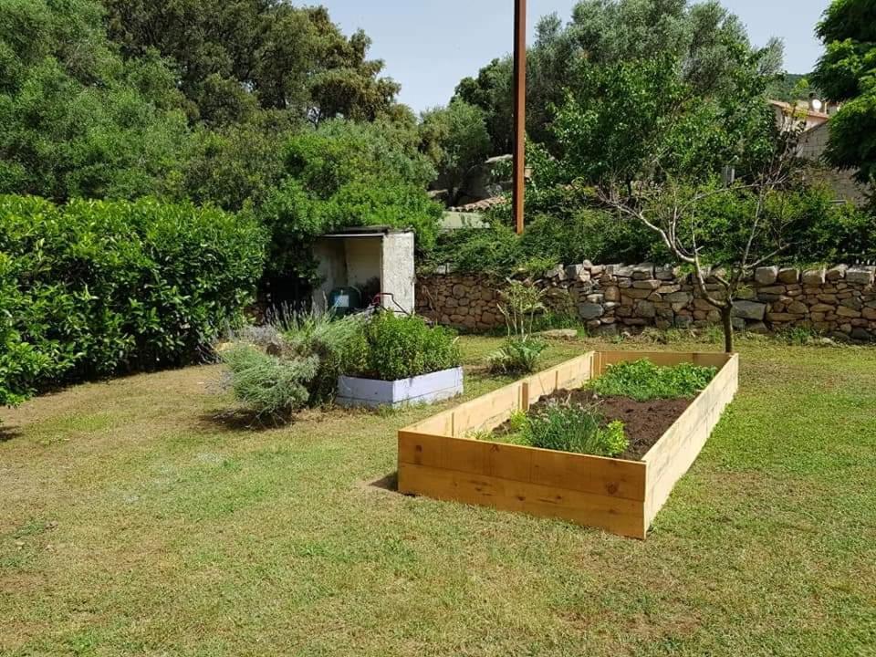 Orasi Sartene Gite Casa Fiurita 외부 사진